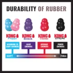 KONG - Extreme - Slika 5