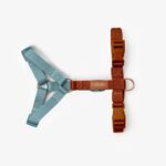 Furlou – Y oprsnica za pse Strap – Blue/Clay - Slika 2