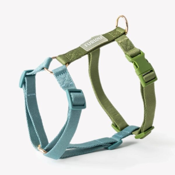 Furlou – Y oprsnica za pse Strap – Blue/Green