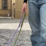 Furlou - Pleteni povodac za pse - Tan - Slika 3