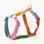 Furlou – Y oprsnica za pse Strap – Rainbow