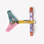 Furlou – Y oprsnica za pse Strap – Rainbow - Slika 2