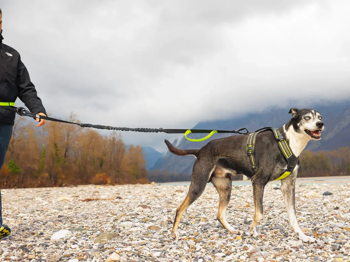 Axaeco – 4 Season Power Harness – Oprsnica - Slika 11