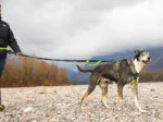 Axaeco – 4 Season Power Harness – Oprsnica - Slika 11