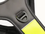 Axaeco – 4 Season Power Harness – Oprsnica - Slika 6