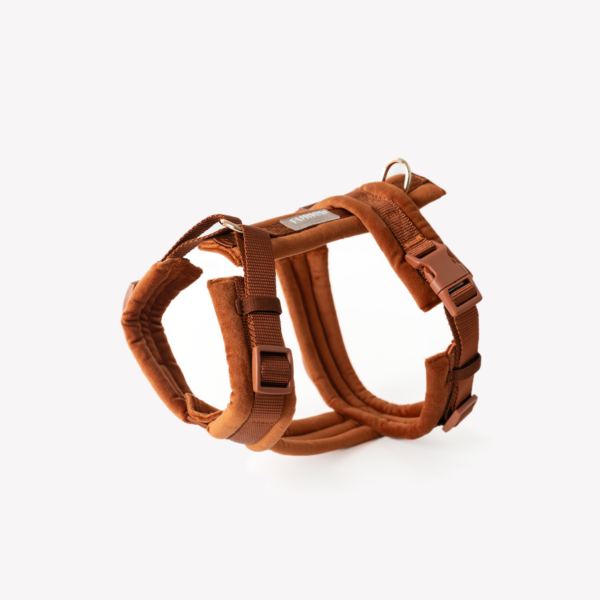 Furlou – Y oprsnica za pse – Velvet – Clay