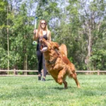 Chuckit! - EcoFetch 18M Launcher - Bacač loptica za pse + loptica - Slika 6