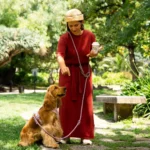 Furlou - Hands-Free Pleteni povodac za pse - Bordeaux - Slika 3