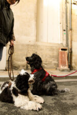 Furlou – Sherpa oprsnica za pse – Bordeaux - Slika 3