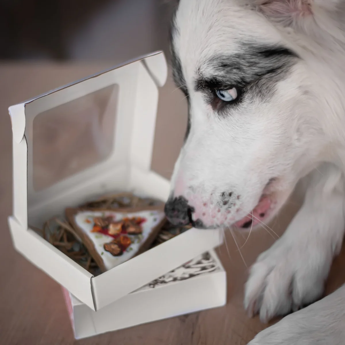 Cooka's Cookies - Gourmet poslastice - Doggie Pizza - Slika 5