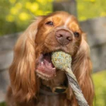 Cooka's Cookies - Birthday - Chewy Pop Lollipop 30g - Slika 4