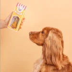 Cooka's Cookies - Birthday - Chewy Pop Lollipop 30g - Slika 3